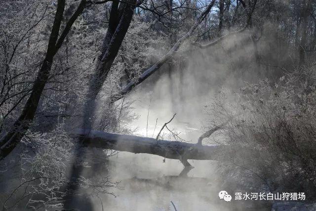 重庆市级人才计划“包干制” 项目立项名单