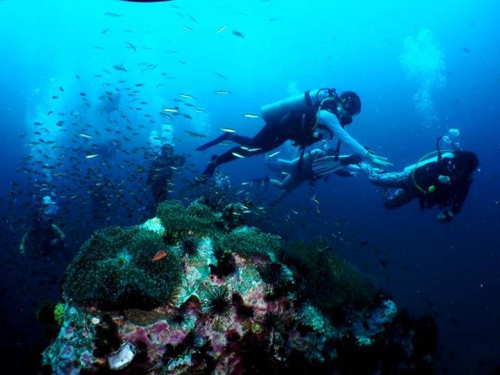 港股药明生物、药明康德暴跌,曾触发市场调节机制,发生了什么?