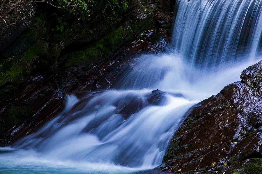 虫虫助手下载